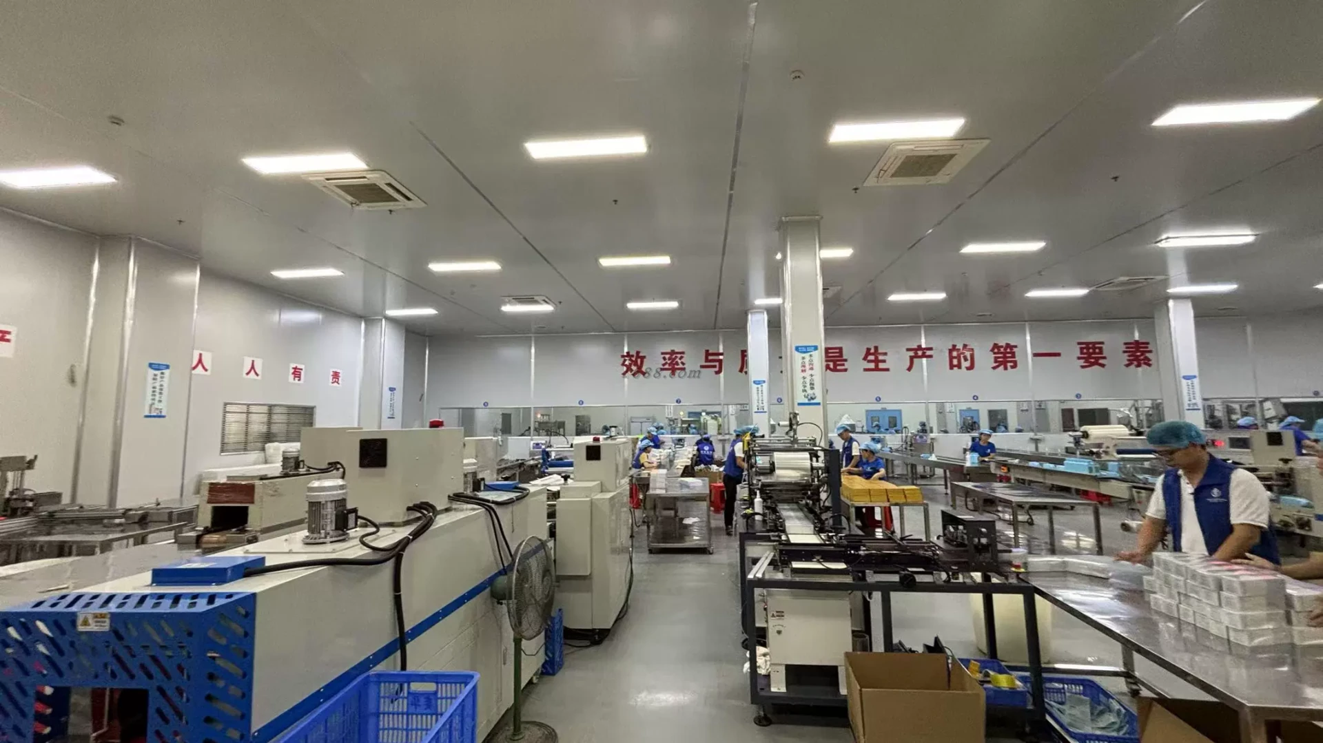 Actual production equipment and working area